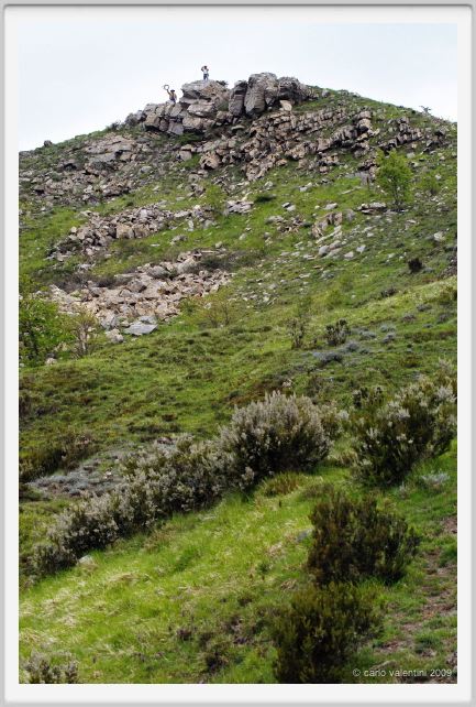 passo_biscia013