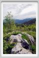 passo_biscia195