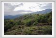 passo_biscia196