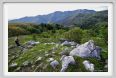 passo_biscia198