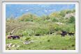 passo_biscia023