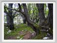 passo_biscia228
