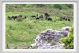 passo_biscia076