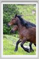 passo_biscia105