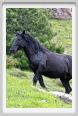 passo_biscia106