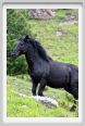 passo_biscia107