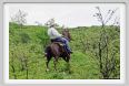 passo_biscia129