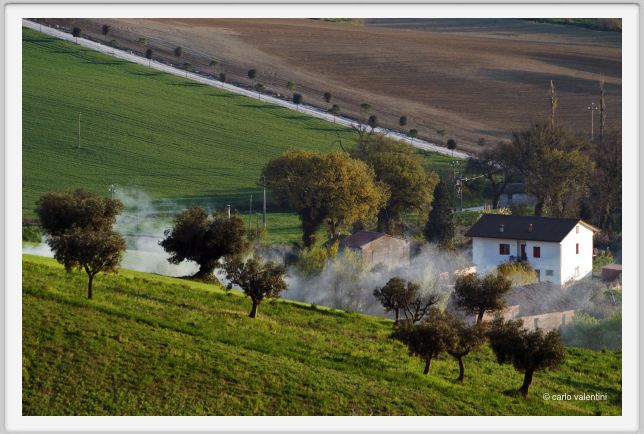 recanati_campagna1