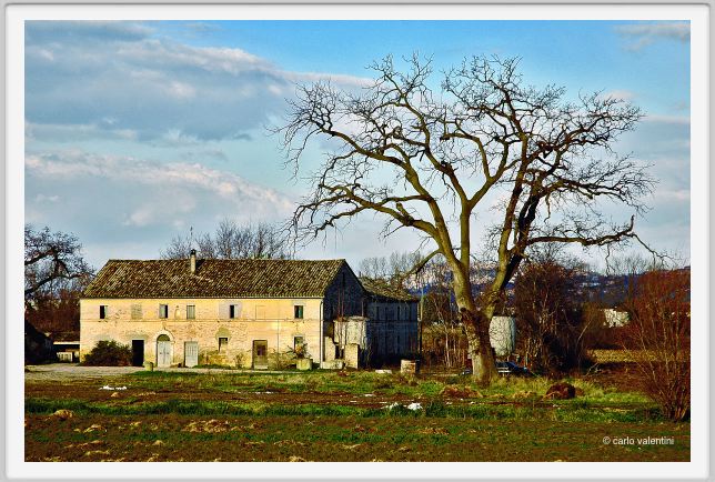 villa_musone_campagna1