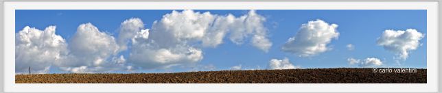 campagna_recanati011