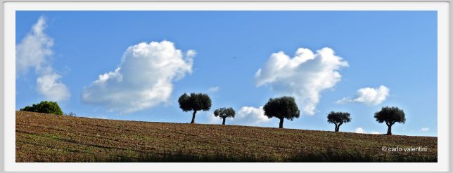 campagna_recanati012