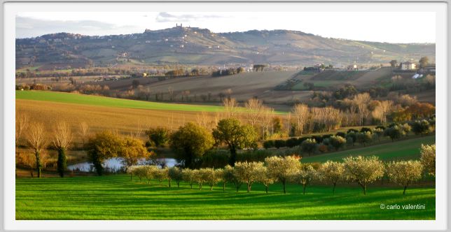 recanati_chiarino3536