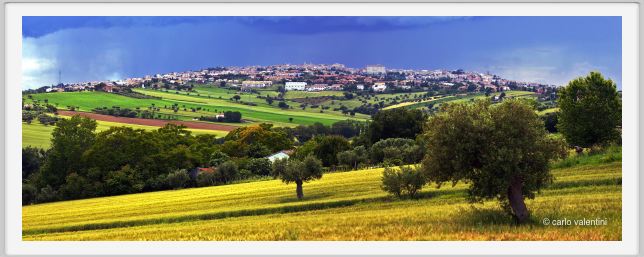 recanati_campagna35