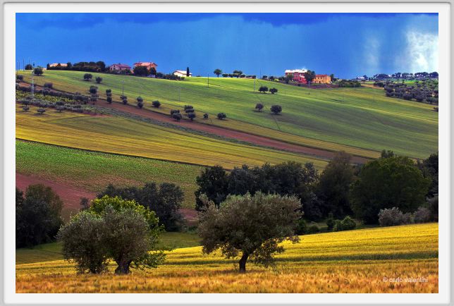 recanati_campagna33