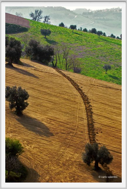 campagna_recanati007