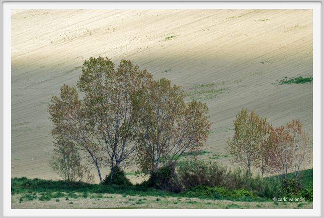 recanati_campagna03