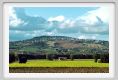 recanati_campagna2