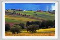 recanati_campagna33