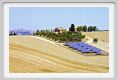 fotovoltaico_recanati025