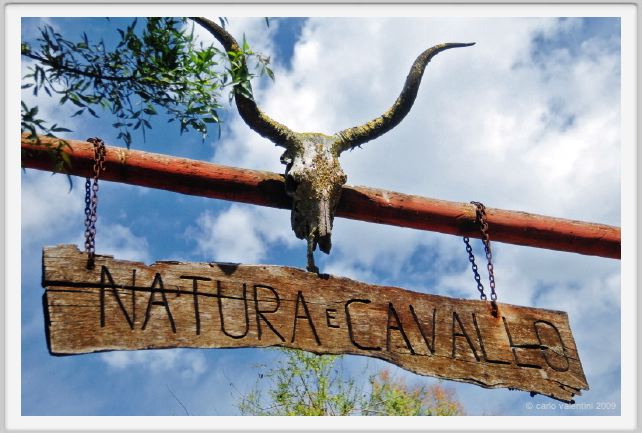 natura_e_cavallo001