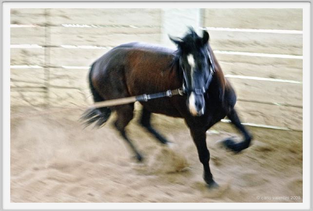natura_e_cavallo140