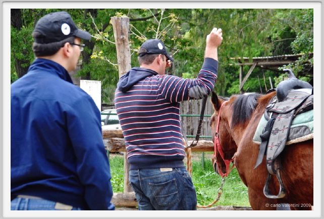natura_e_cavallo014