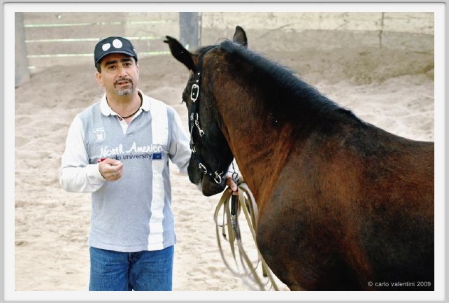 natura_e_cavallo154