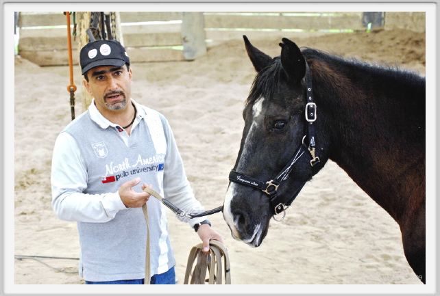 natura_e_cavallo157