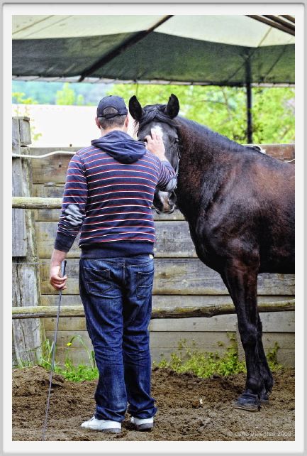 natura_e_cavallo158