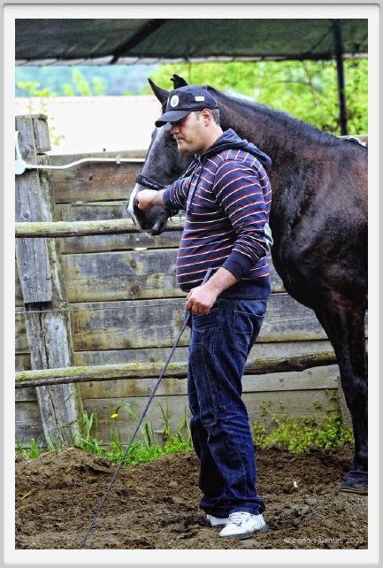 natura_e_cavallo159