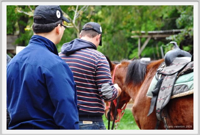 natura_e_cavallo015
