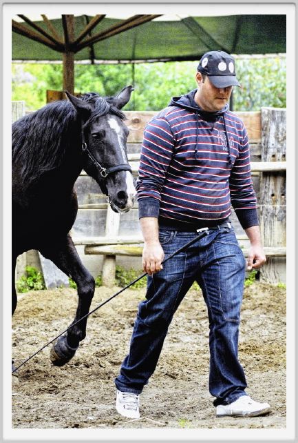 natura_e_cavallo162