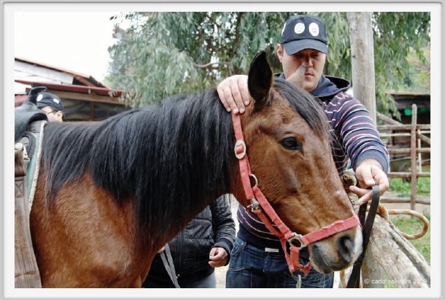 natura_e_cavallo016