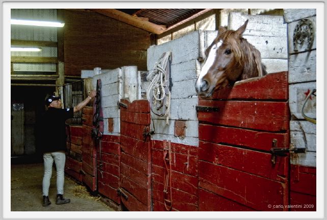 natura_e_cavallo189