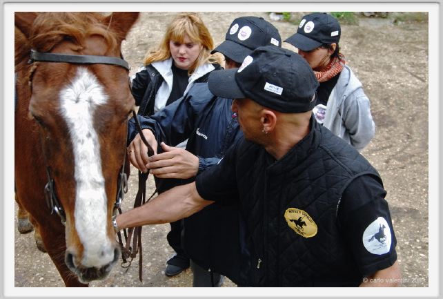 natura_e_cavallo017