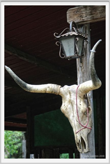 natura_e_cavallo193