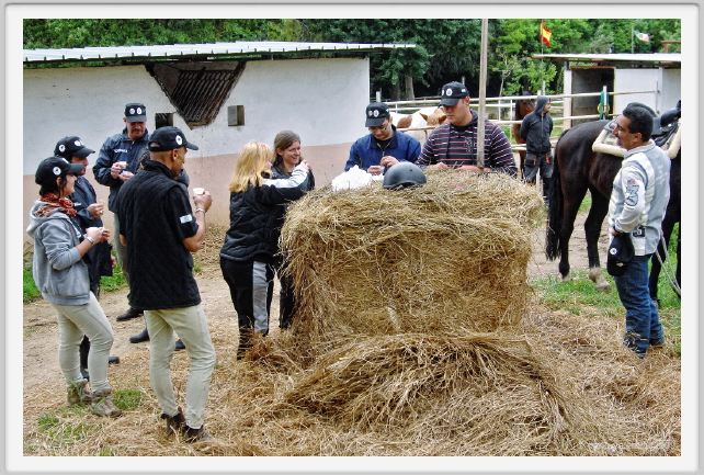 natura_e_cavallo196