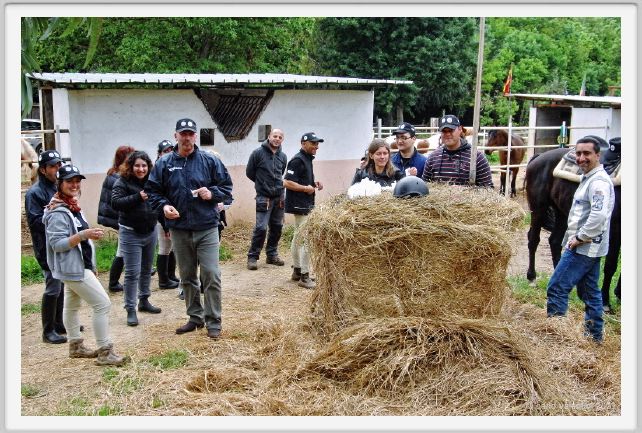 natura_e_cavallo200