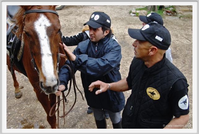 natura_e_cavallo018