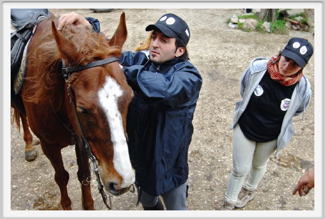natura_e_cavallo019
