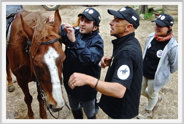 natura_e_cavallo021