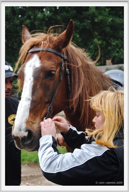 natura_e_cavallo022