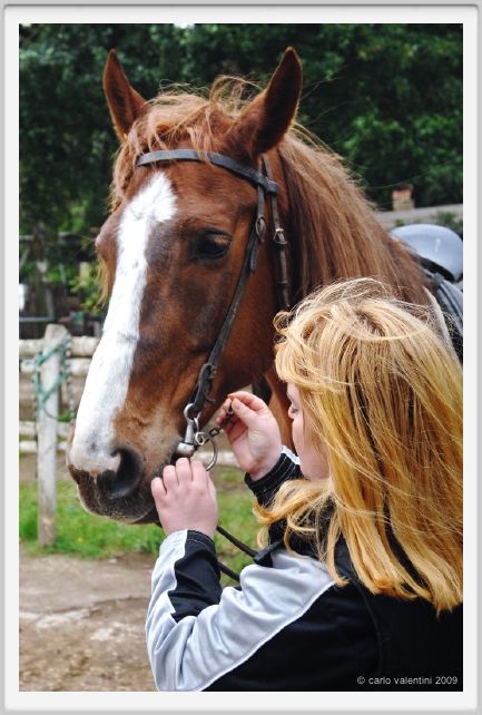natura_e_cavallo023