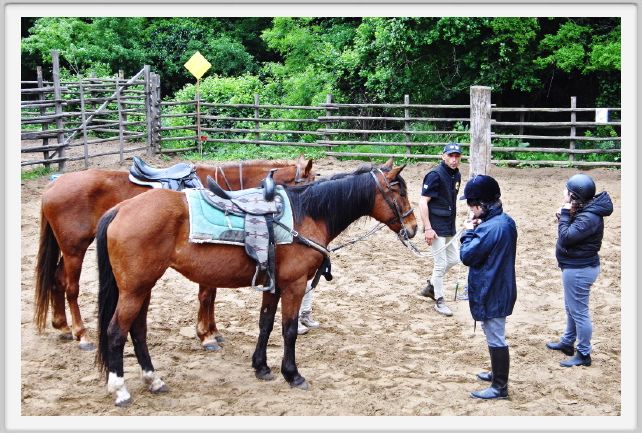 natura_e_cavallo024