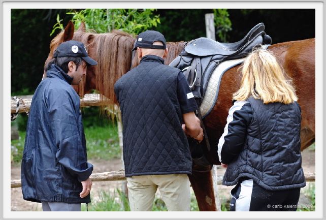 natura_e_cavallo035