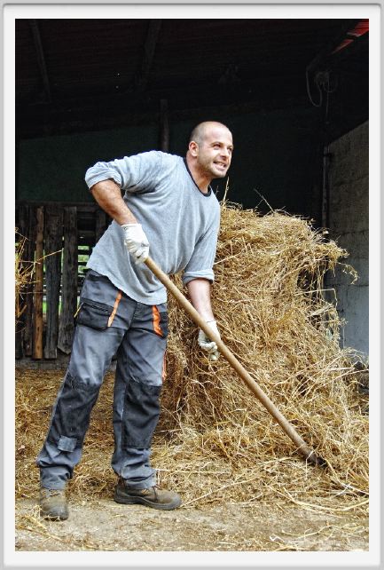 natura_e_cavallo013
