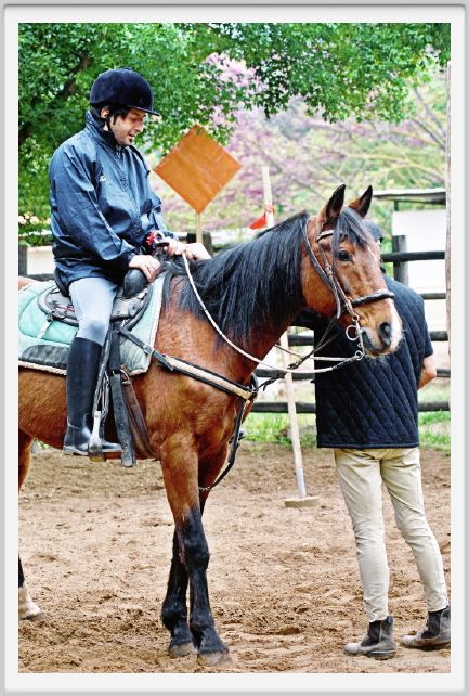 natura_e_cavallo040