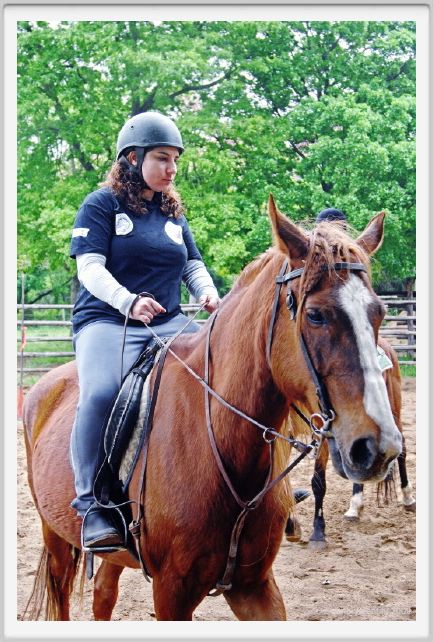 natura_e_cavallo043