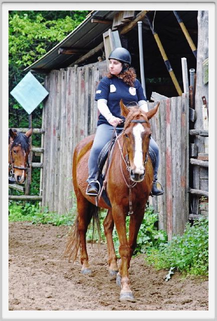 natura_e_cavallo044