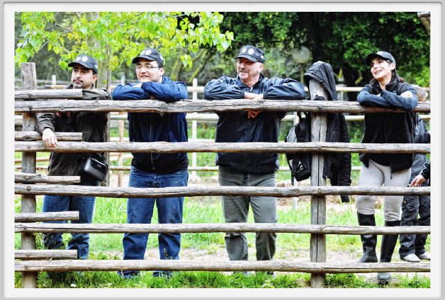 natura_e_cavallo049